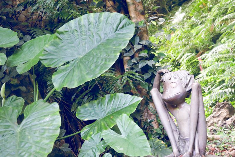 アランガチのガジュマル ケンムン像
